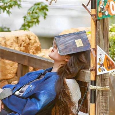 摩登女婿